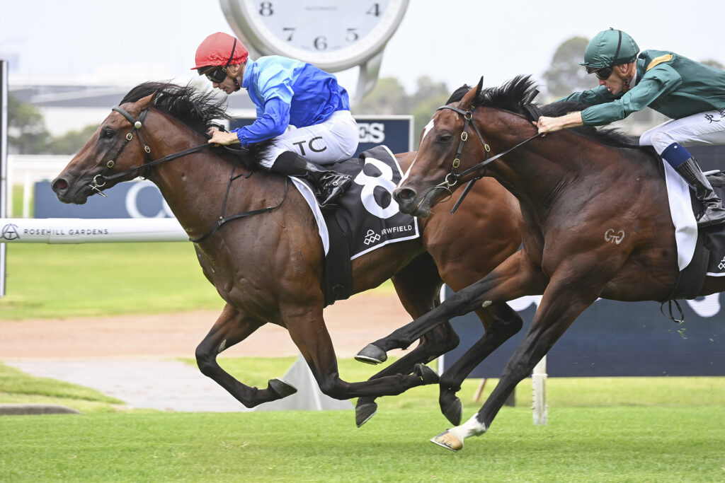 Prost wins Canonbury S., Gr.3