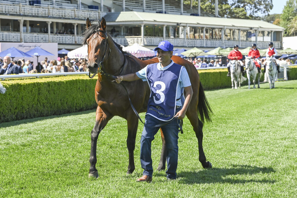 Prost wins Callander-Presnell S., Gr.2