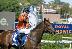 25 February - Sunshine In Paris (Invader) wins the Gr.1 ATC Surround Stakes (Randwick)