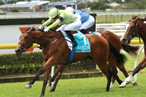 Freeman wins at Doomben – 5 November 2022