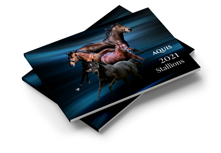 2021 Aquis Stallion Book