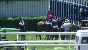 Mishani Mental (The Mission) wins at Doomben
