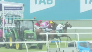 Perfect Mission (The Mission) wins at Gold Coast