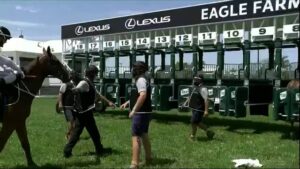 Mishani Warfare wins at Eagle Farm
