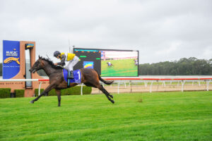 Wyong Magic Millions 2YO Classic (R), L Wyong Magic Millions 2YO Classic (R), L
