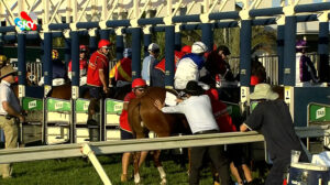 jv1 BRC Keith Noud, L, 1200m, Eagle Farm