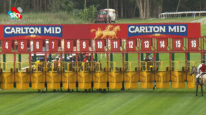 jv2 Jonker, Magic Millions 2YO Classic (R) L, 1100m, Wyong