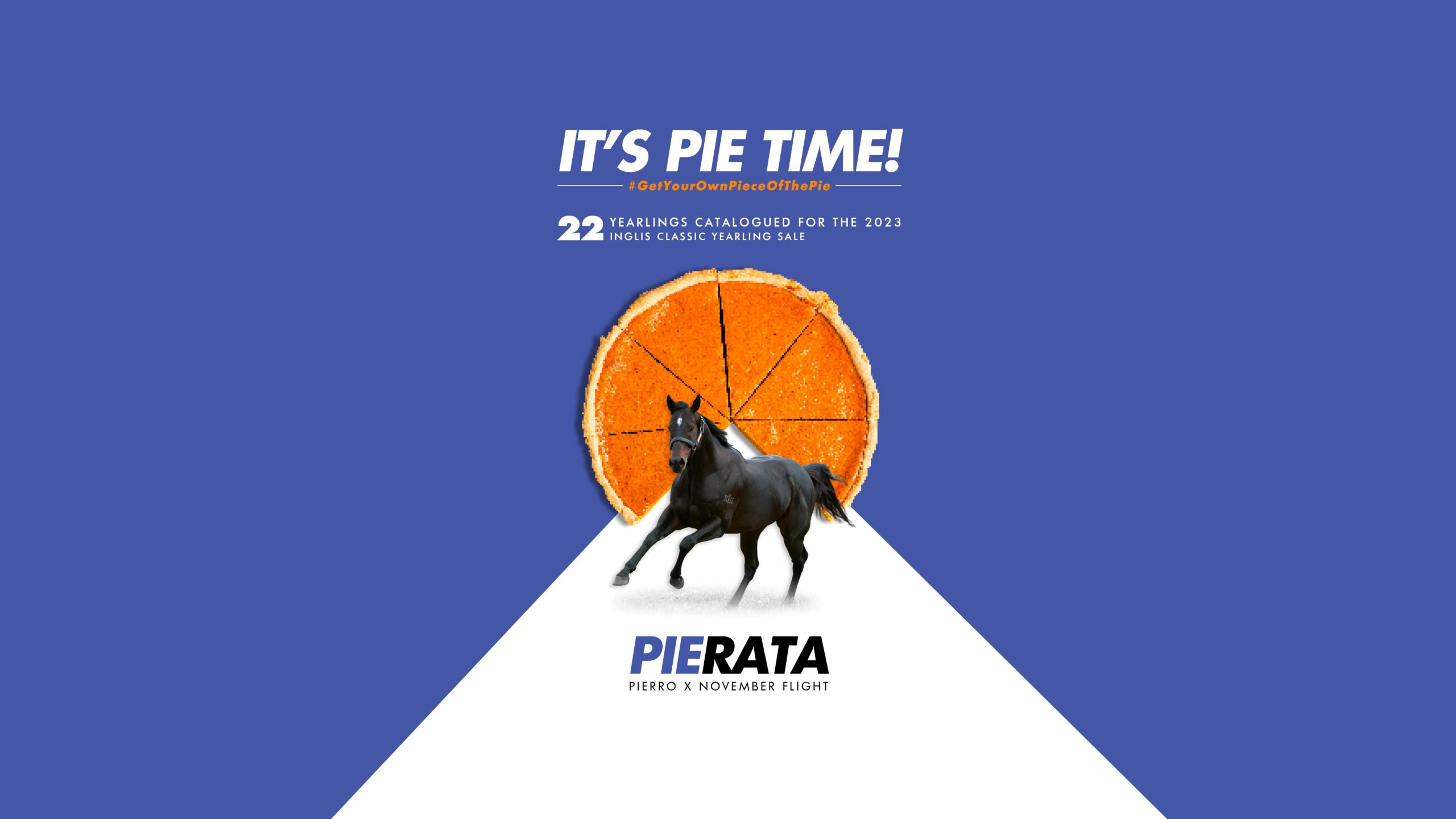 23-01_Pierata-Its Pie Time - Web Slider - Classic Rep