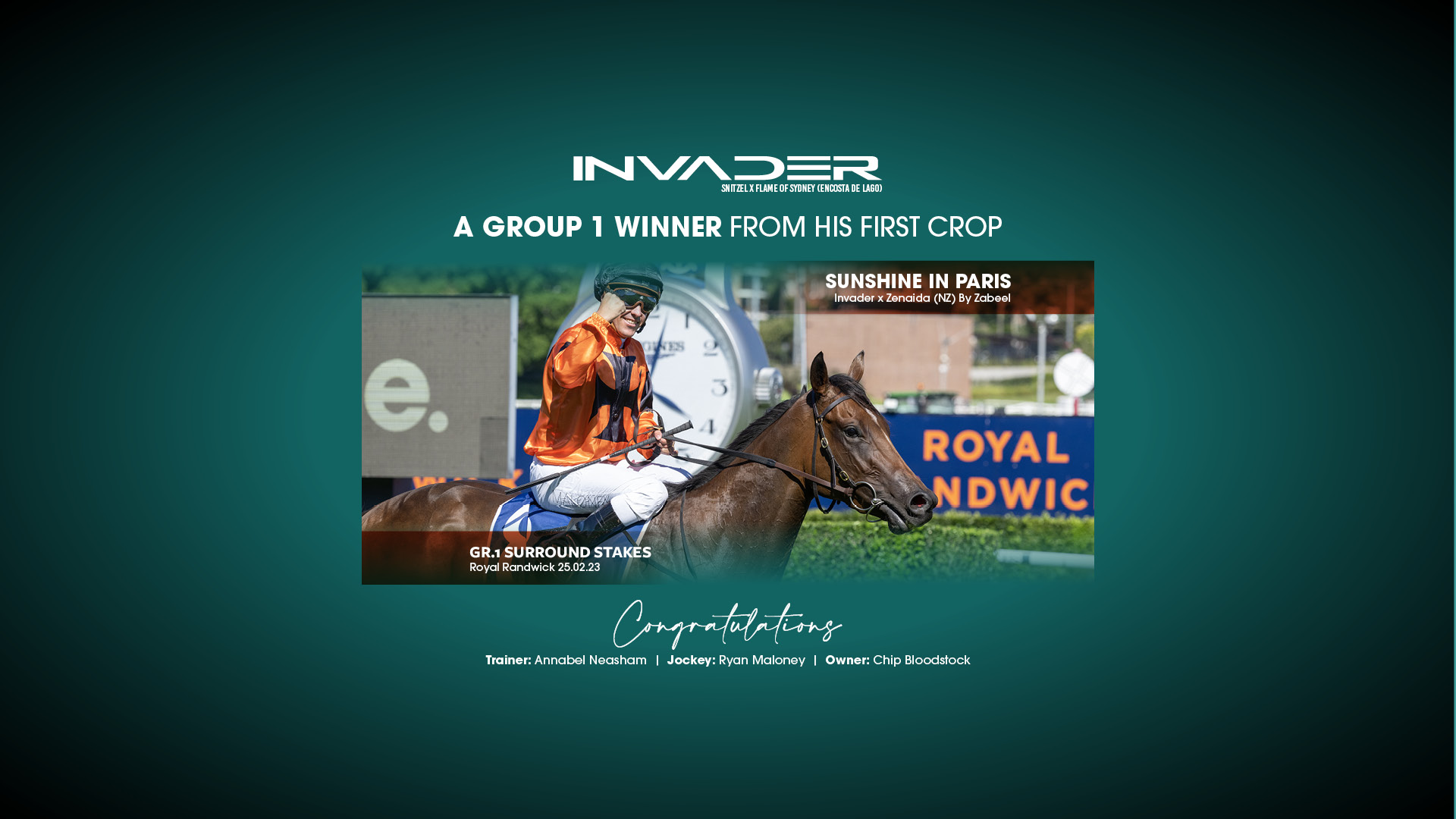 23-0227_Invader Gr.1 Winner Sunshine in Paris-Web Slider