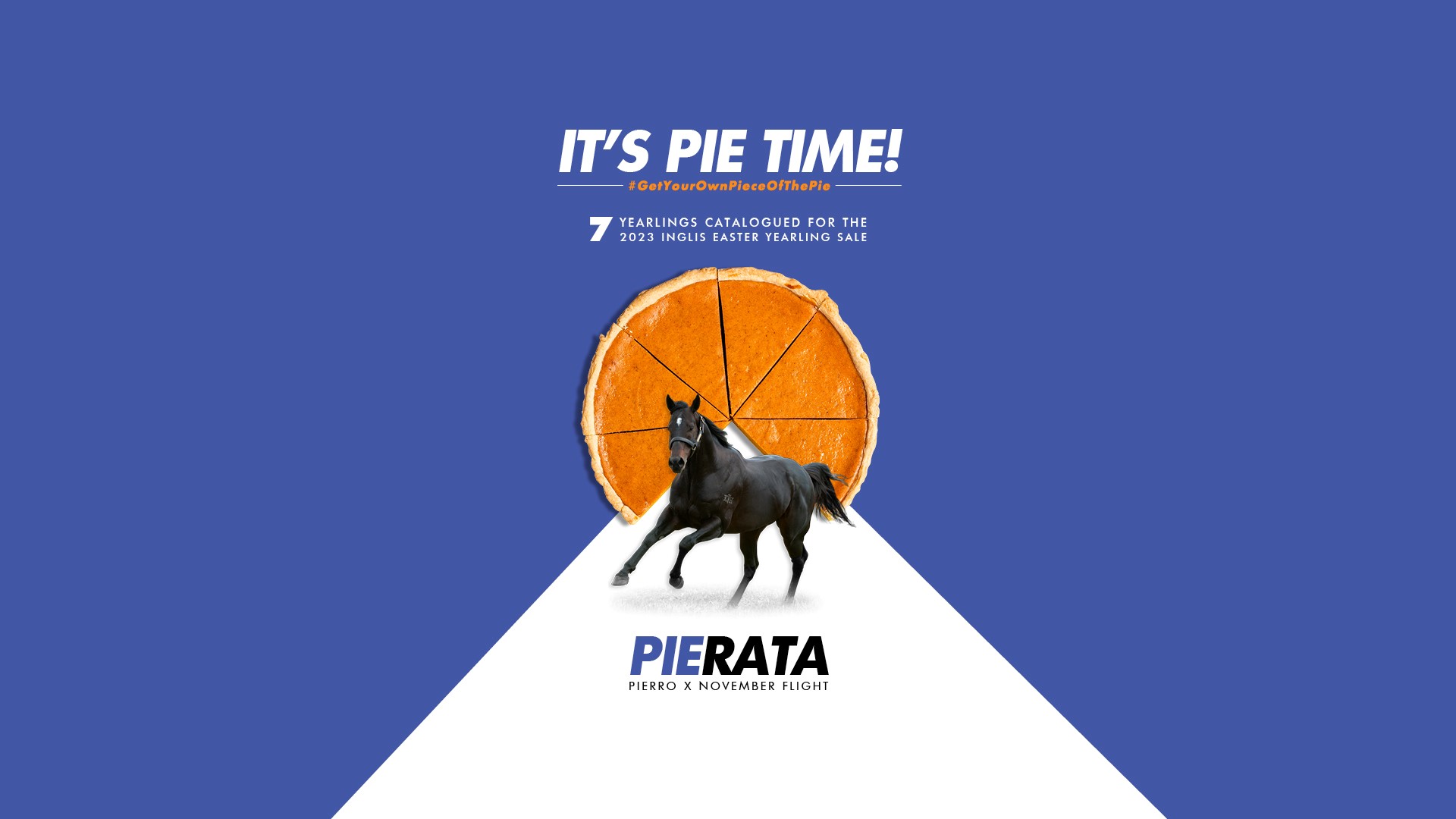 23-04_Pierata Yearlings Web Slider - Easter