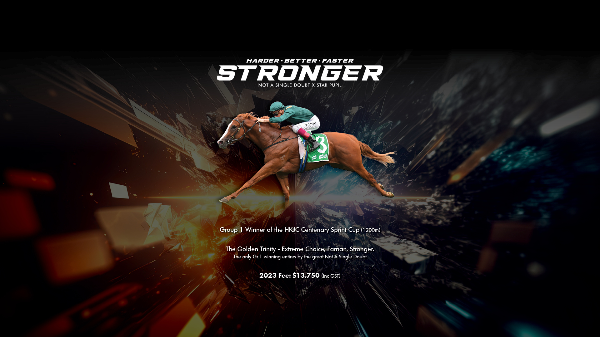 23-04_Stronger-Web Slider