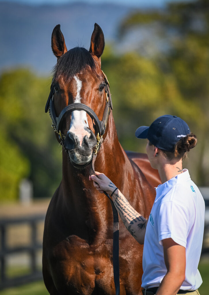 Kobayashi at 2023 Stallion Parade