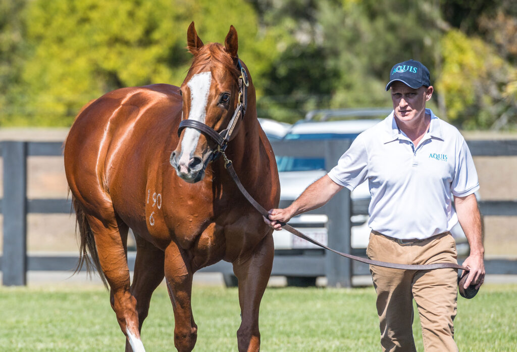 Stronger at 2023 Stallion Parade