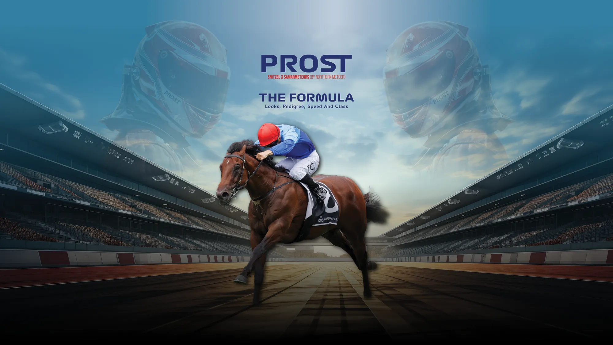 25-05_Prost Web Slider 2